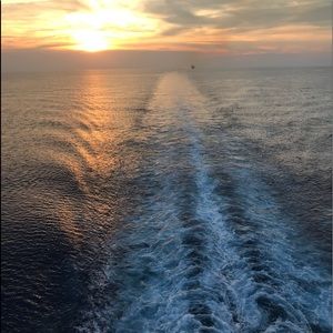 Meet your Posher, Austin